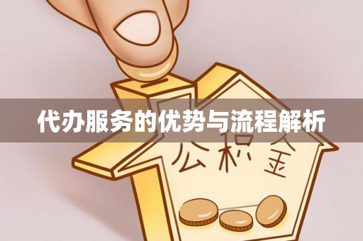 黑山代办服务的优势与流程解析