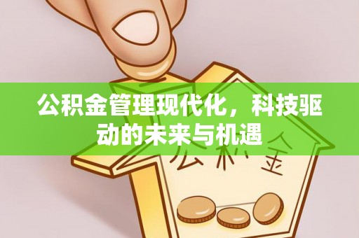 黑山公积金管理现代化，科技驱动的未来与机遇