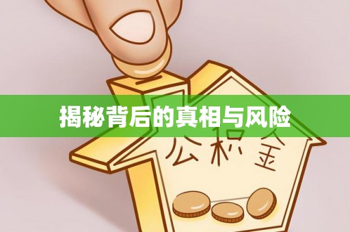 黑山揭秘背后的真相与风险