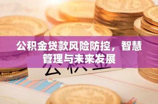 黑山公积金贷款风险防控，智慧管理与未来发展