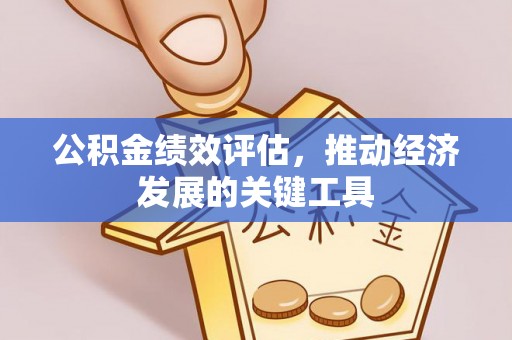 黑山公积金绩效评估，推动经济发展的关键工具