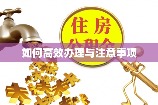 黑山如何高效办理与注意事项