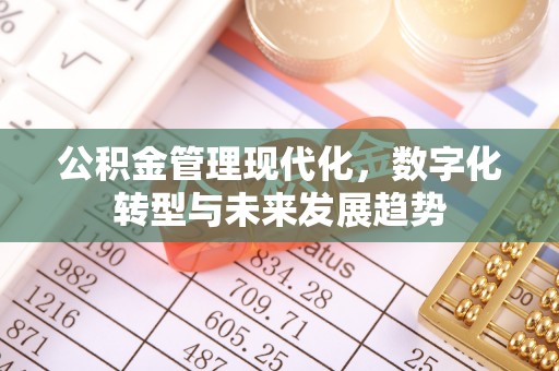 黑山公积金管理现代化，数字化转型与未来发展趋势