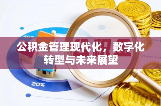 黑山公积金管理现代化，数字化转型与未来展望