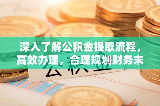 黑山深入了解公积金提取流程，高效办理，合理规划财务未来
