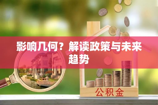 黑山影响几何？解读政策与未来趋势