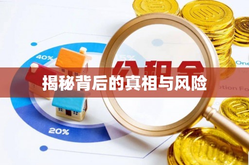 黑山揭秘背后的真相与风险