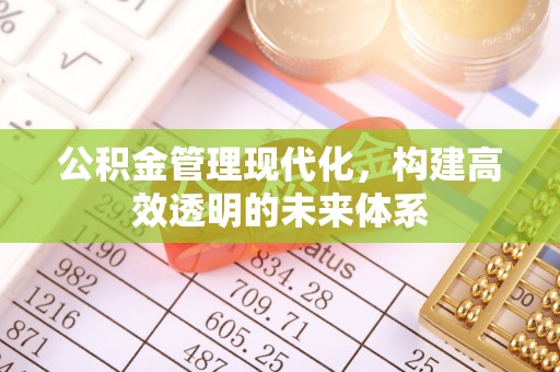 黑山公积金管理现代化，构建高效透明的未来体系