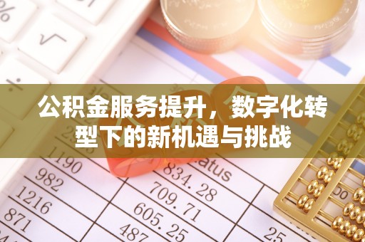 黑山公积金服务提升，数字化转型下的新机遇与挑战