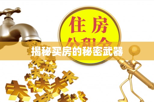 黑山揭秘买房的秘密武器
