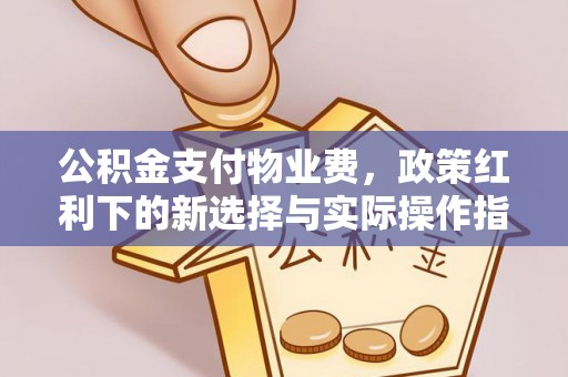 黑山公积金支付物业费，政策红利下的新选择与实际操作指南