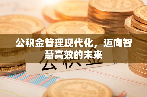 黑山公积金管理现代化，迈向智慧高效的未来