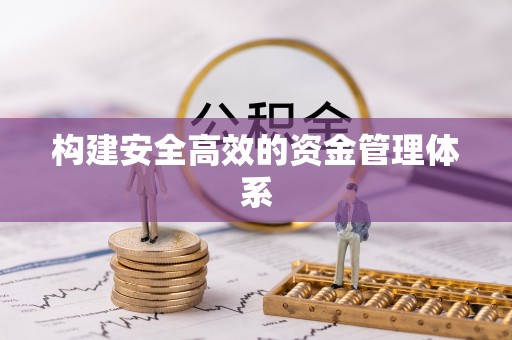 黑山构建安全高效的资金管理体系