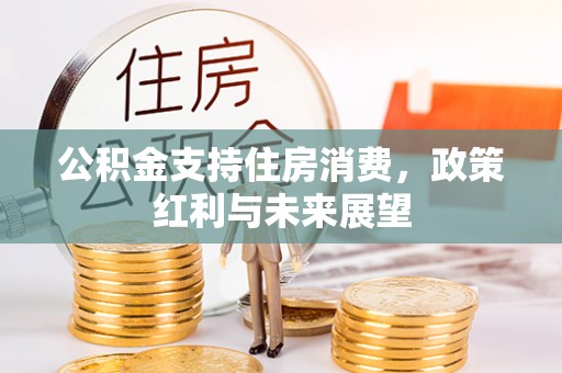 黑山公积金支持住房消费，政策红利与未来展望