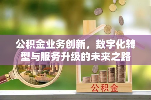 黑山公积金业务创新，数字化转型与服务升级的未来之路