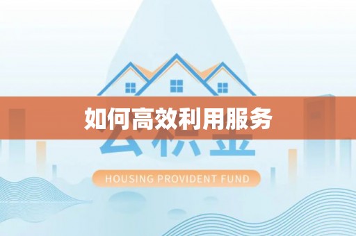 黑山如何高效利用服务