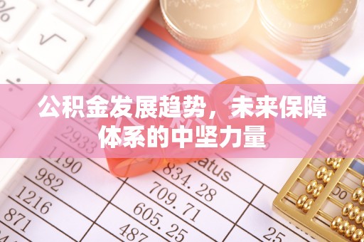 黑山公积金发展趋势，未来保障体系的中坚力量