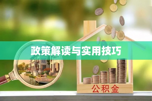 黑山政策解读与实用技巧