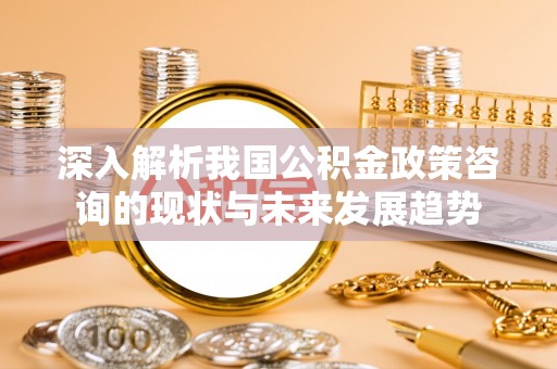 黑山深入解析我国公积金政策咨询的现状与未来发展趋势
