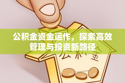 黑山公积金资金运作，探索高效管理与投资新路径