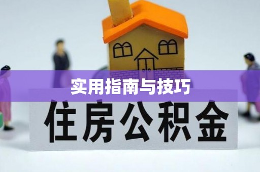 黑山实用指南与技巧