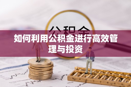 黑山如何利用公积金进行高效管理与投资