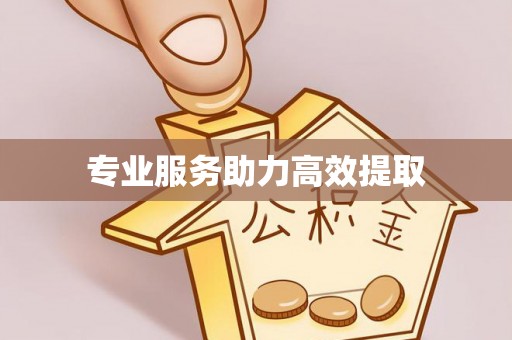 黑山专业服务助力高效提取