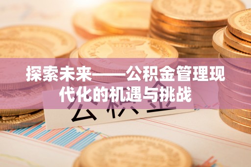黑山探索未来——公积金管理现代化的机遇与挑战