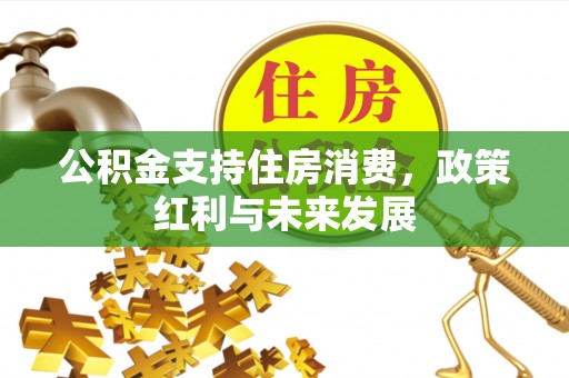 黑山公积金支持住房消费，政策红利与未来发展